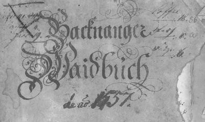Älteste überlieferte Quelle im Stadtarchiv Backnang (Waidbuch aus dem Jahr 1557)