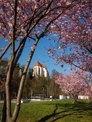 Gruppenführungen durch Backnang Gruppenführungen durch Backnang