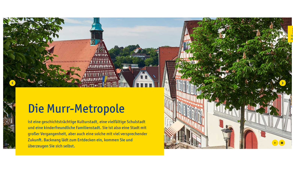 Startseite mit großem Bild von Backnang und gelber Box mit Einleitungstext