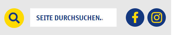 Suche mit Lupe, Suchfeld und Icons für Facebook und Instagram